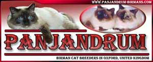 Panjandrum