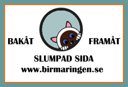 Ringgrafik