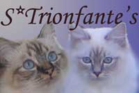 trionfantes