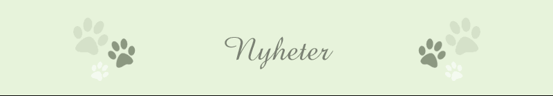 Nyheter