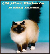 (N)Cat Baloos