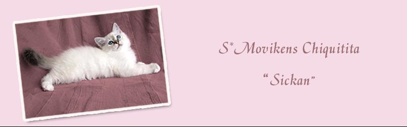 S*Movikens Chiquitita