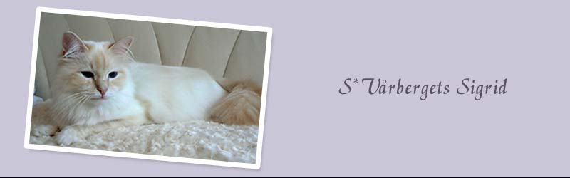 Sigrid